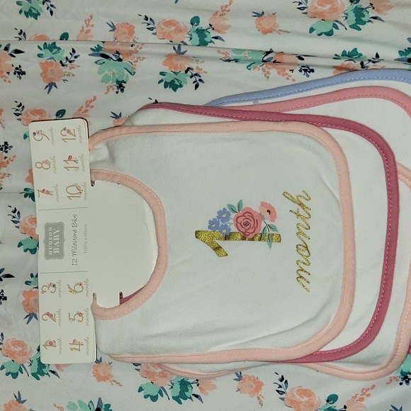 Hudson baby 12 milestone bibs - Picture 1 of 4